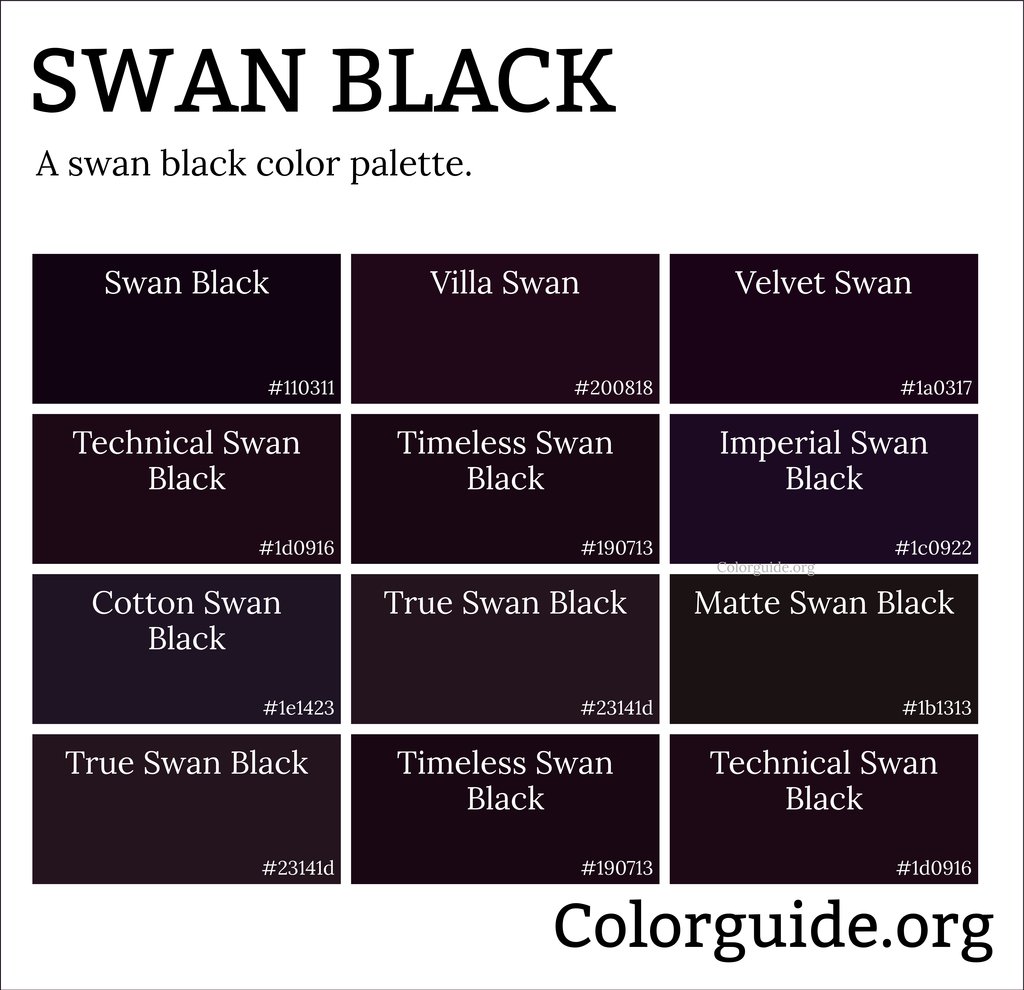 swan black colors