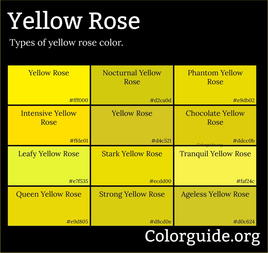 yellow rose color