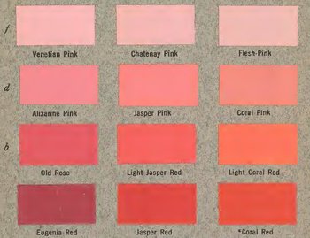 40 Types of Coral Pink