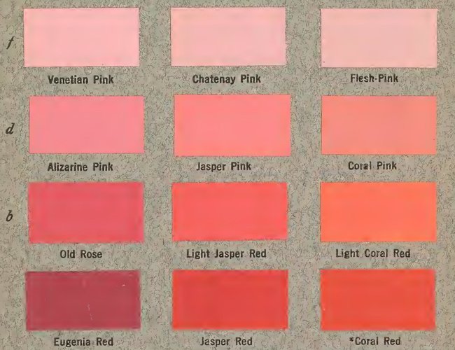 40 Types of Coral Pink